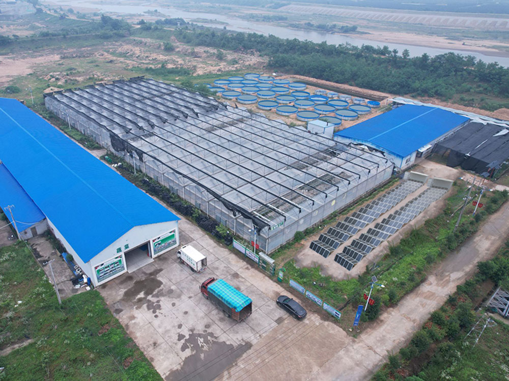 Solar Power Containers for Selvforsynt strømforsyning